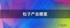 巴西松子产自哪里 松子产自哪里