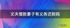 丈夫借钱妻子有义务还吗 丈夫借款妻子有义务还款吗