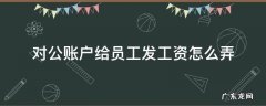 对公账户怎样给员工发工资 对公账户给员工发工资怎么弄