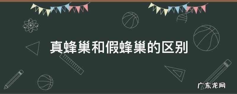 真蜂巢和假蜂巢的区别 蜂巢的真假怎么区别