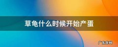 草龟什么时候开始产蛋 草龟什么时候生蛋