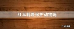 红耳鹎鸟是保护动物吗 红耳鹎是保护动物吗