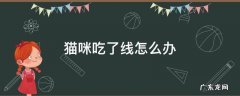 猫咪吃了线怎么办 猫咪吃了线怎么处理