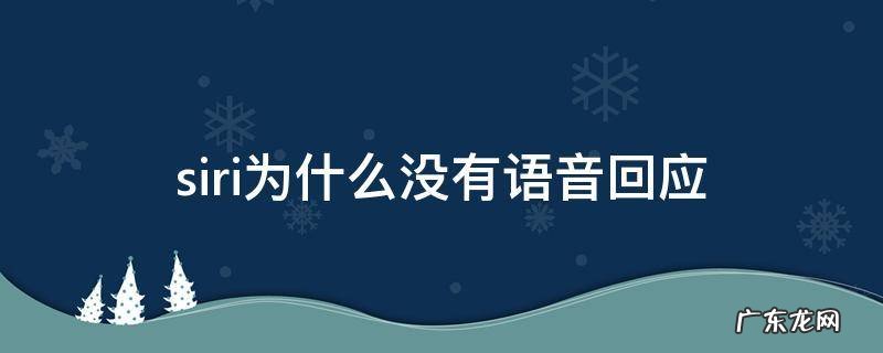13siri为什么没有语音回应 siri为什么没有语音回应