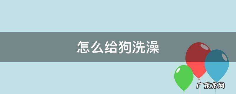 怎么给狗洗澡 如何给狗洗澡教学
