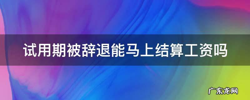 试用期被辞退能马上结算工资吗 试用期被辞退能马上结算工资吗知乎