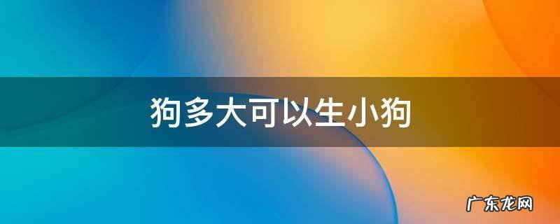 狗多大可以生小狗 泰迪母狗多大可以生小狗