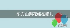 东方山下梨花峪 东方山梨花峪在哪儿