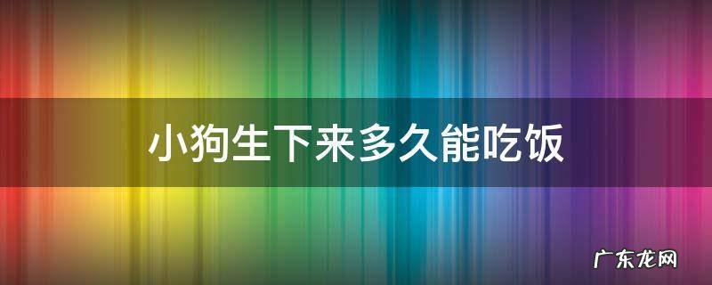 小狗生下来多久能吃饭 小狗出生后多久可以吃饭