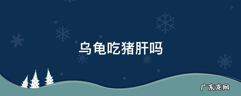 乌龟可以吃猪肝吗? 乌龟吃猪肝吗