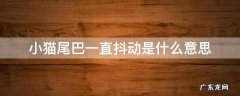 猫咪抖尾巴是怎么回事 小猫尾巴一直抖动是什么意思