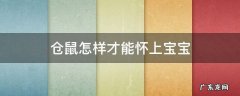 怎么才能让小仓鼠怀孕生宝宝 仓鼠怎样才能怀上宝宝