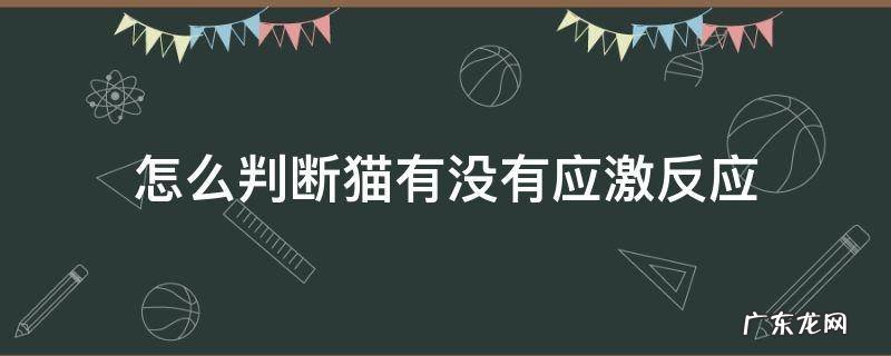 怎么判断猫有没有应激反应猫咪记忆有多久 怎么判断猫有没有应激反应