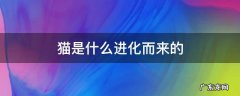 大熊猫是什么进化而来的 猫是什么进化而来的