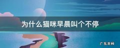 为什么猫咪一到早上就叫个不停 为什么猫咪早晨叫个不停