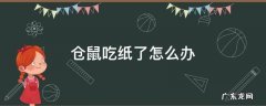仓鼠误食了纸怎么办 仓鼠吃纸了怎么办