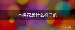 木棉花是什么样子的 木棉花是什么样子的用一个词形容