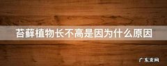 苔藓植物长不高是因为什么原因 苔藓植物长不高是因为什么原因引起的