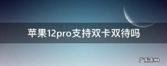 苹果12pro支持双卡双待吗 苹果12pro支持双卡双待吗?