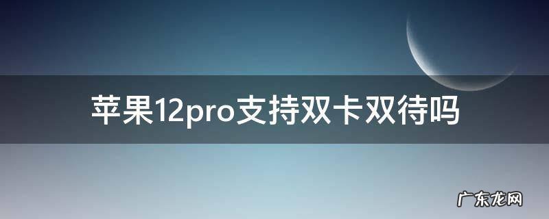 苹果12pro支持双卡双待吗 苹果12pro支持双卡双待吗?