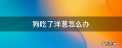 给狗吃了洋葱怎么办 狗吃了洋葱怎么办