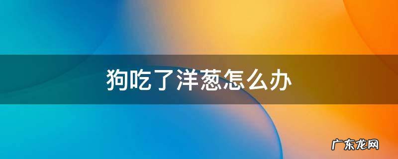 给狗吃了洋葱怎么办 狗吃了洋葱怎么办