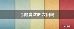 仓鼠喜欢晒太阳吗冬天 仓鼠喜欢晒太阳吗