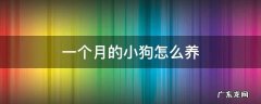 一个月的小狗怎么养活 一个月的小狗怎么养