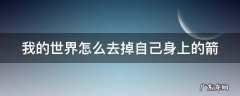 我的世界怎么去掉自己身上的箭 我的世界身上的箭如何消失