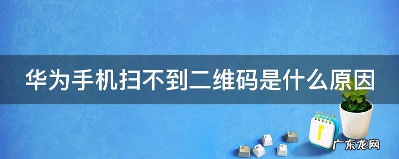 华为手机扫不到二维码是什么原因 华为手机扫不到二维码是什么原因造成的