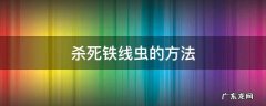 杀死铁线虫最好的办法 杀死铁线虫的方法