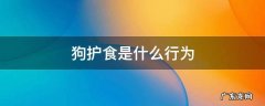 狗护食是什么行为 狗护食是正常的吗