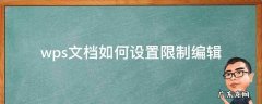 wps文档如何设置限制编辑 wps设置编辑受限