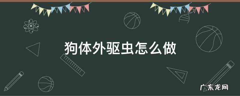 狗体外驱虫怎么做 狗体外驱虫怎么做的图解