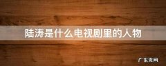 演陆涛的是什么电视剧 陆涛是什么电视剧里的人物