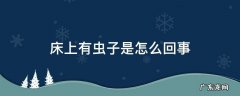 床上有虫子是什么 床上有虫子是怎么回事
