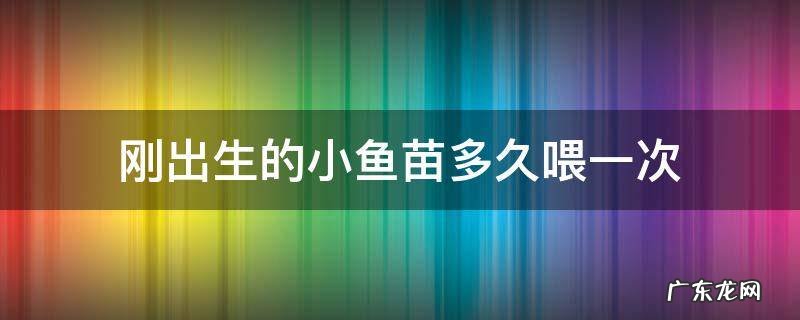 刚出生的小鱼苗多久喂一次 小鱼苗生下来多久能喂食