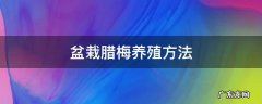 盆栽腊梅的养殖方法 盆栽腊梅养殖方法