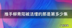 推手柳青阳被活埋的那是第多少集啊 推手柳青阳被活埋的那是第多少集