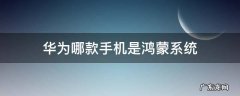 华为哪款手机是鸿蒙系统 华为哪一款手机是鸿蒙系统