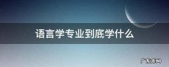 语言专业主要学什么 语言学专业到底学什么