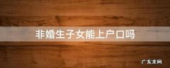非婚生子女能上户口吗 非婚生子女可以报户口吗