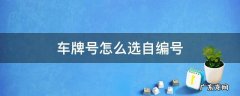 新车选号怎么自编号牌 车牌号怎么选自编号