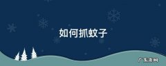 如何抓蚊子小妙招 如何抓蚊子