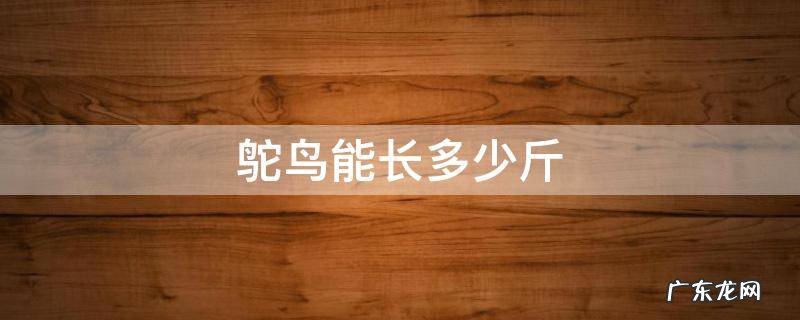 鸵鸟能长多少斤 鸵鸟能长多少斤?