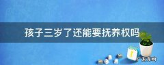 三岁以后孩子抚养权好要吗 孩子三岁了还能要抚养权吗