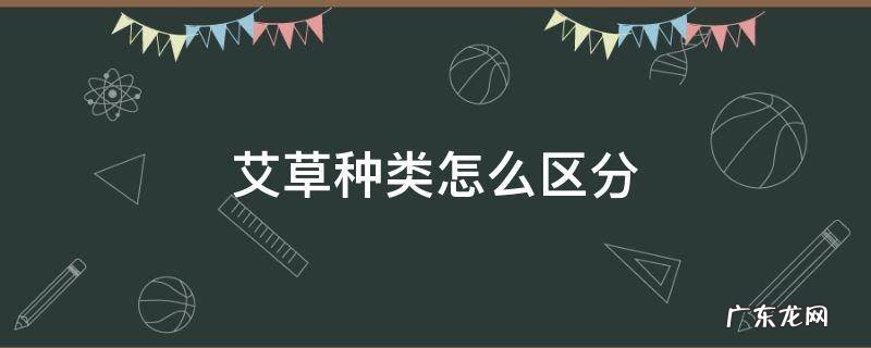 艾草种类怎么区分 艾草有几种怎么分辨