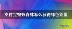 支付宝蚂蚁森林怎么获得绿色能量 支付宝蚂蚁森林怎么获得绿色能量最多
