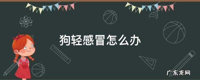 狗轻感冒怎么办 小狗轻微感冒了怎么办