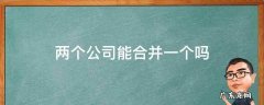 两个子公司可以合并吗 两个公司能合并一个吗